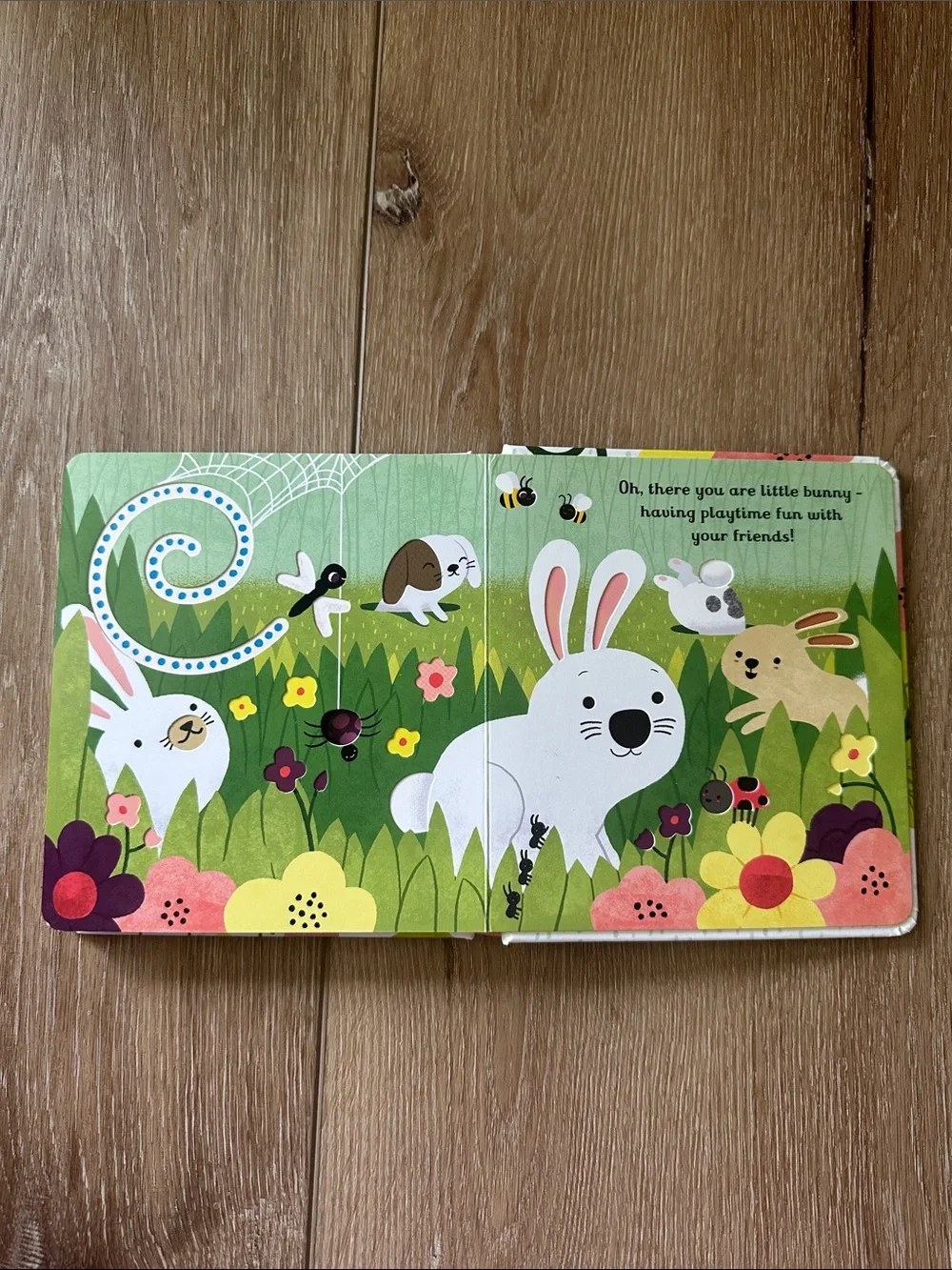 Usborne Are You There Little Bunny? Peak Thru Board Book